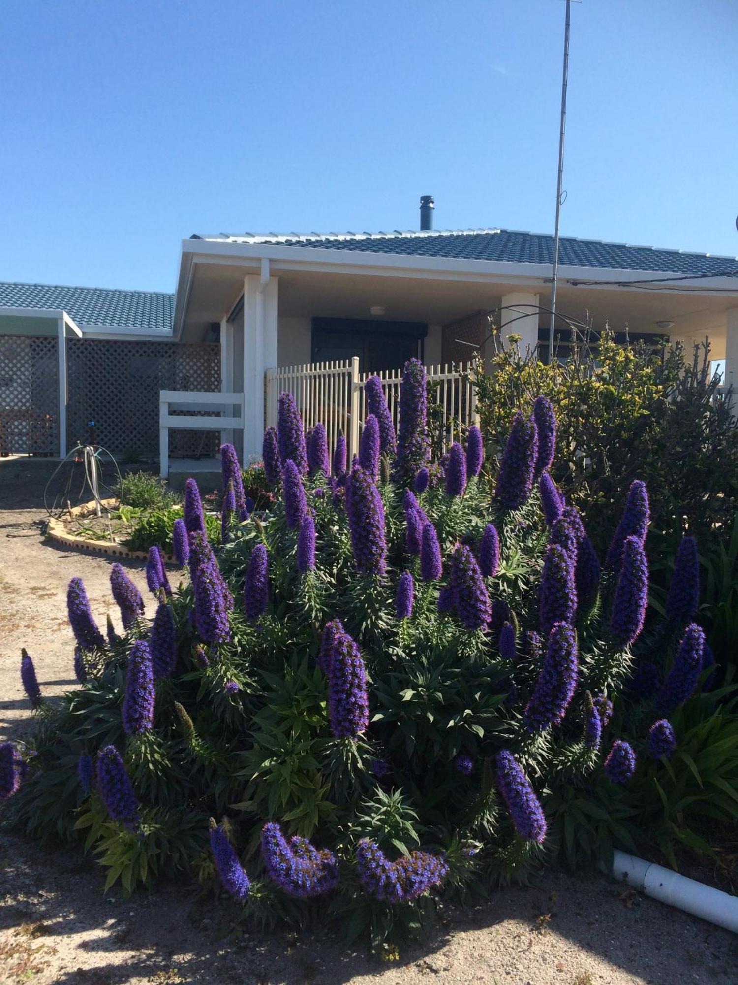 Salty Air Apartments Kingscote Kangaroo Island Dış mekan fotoğraf